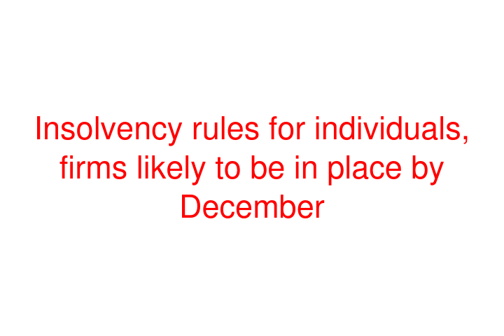 Insolvency rules for individuals, firms likely to be in place by December