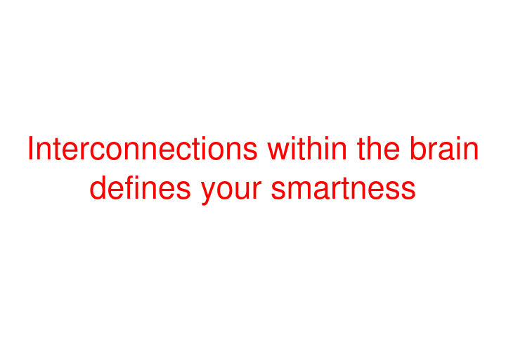 Interconnections within the brain defines your smartness