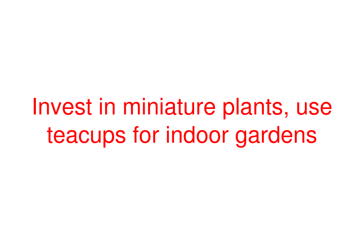 Invest in miniature plants, use teacups for indoor gardens