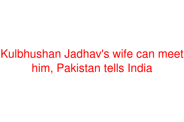 Kulbhushan Jadhav's wife can meet him, Pakistan tells India