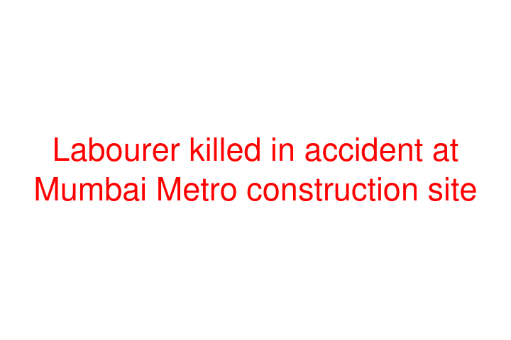 Labourer killed in accident at Mumbai Metro construction site