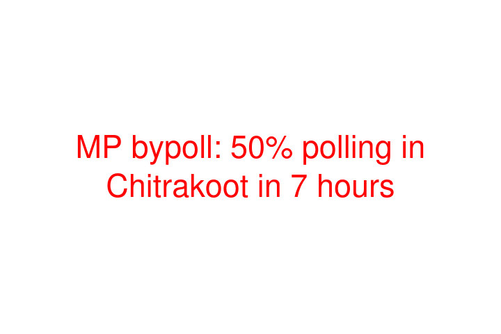 MP bypoll: 50% polling in Chitrakoot in 7 hours