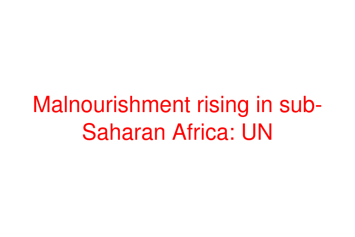 Malnourishment rising in sub-Saharan Africa: UN