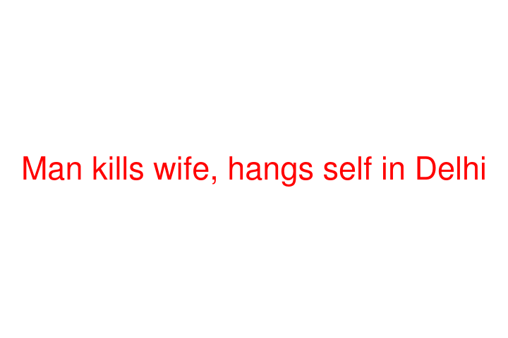 Man kills wife, hangs self in Delhi