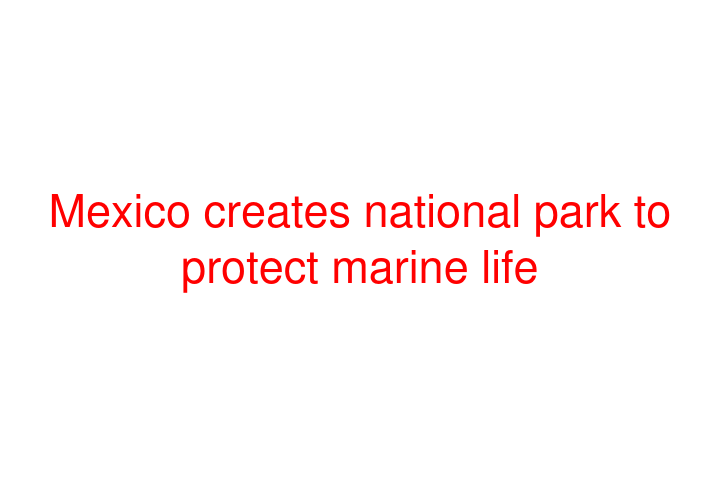 Mexico creates national park to protect marine life