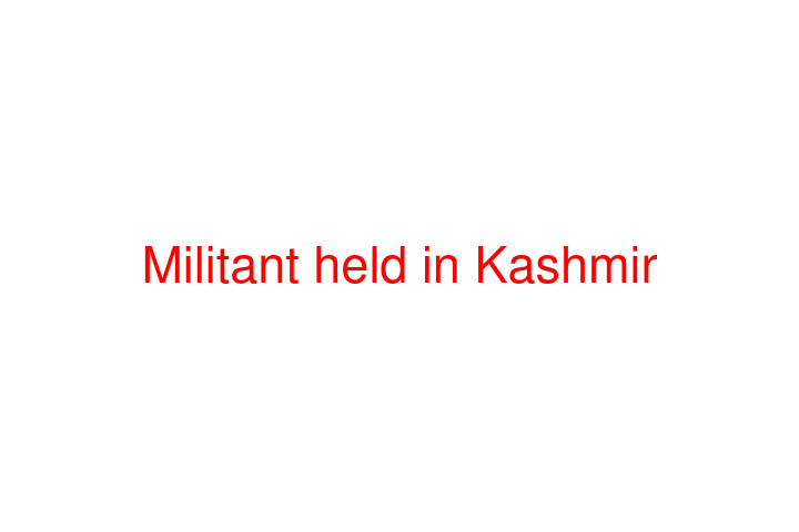 Militant held in Kashmir