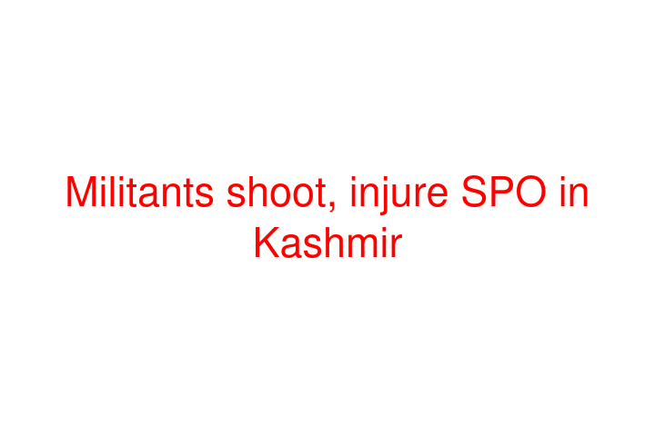 Militants shoot, injure SPO in Kashmir