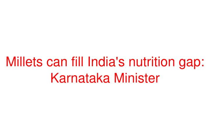 Millets can fill India's nutrition gap: Karnataka Minister