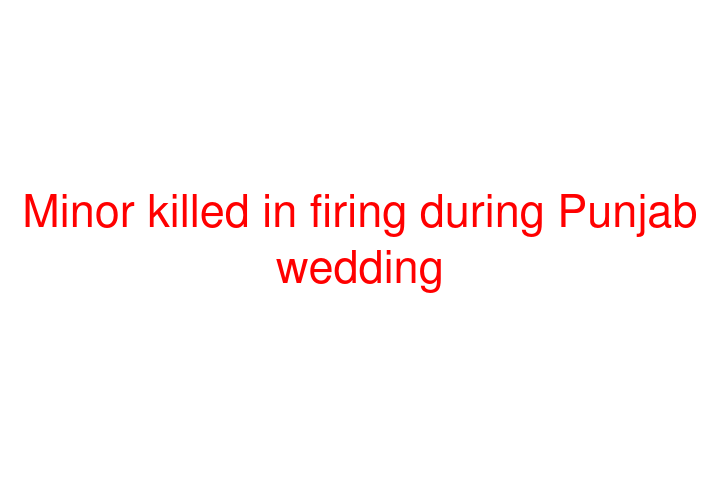 Minor killed in firing during Punjab wedding