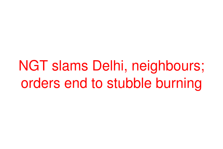 NGT slams Delhi, neighbours; orders end to stubble burning