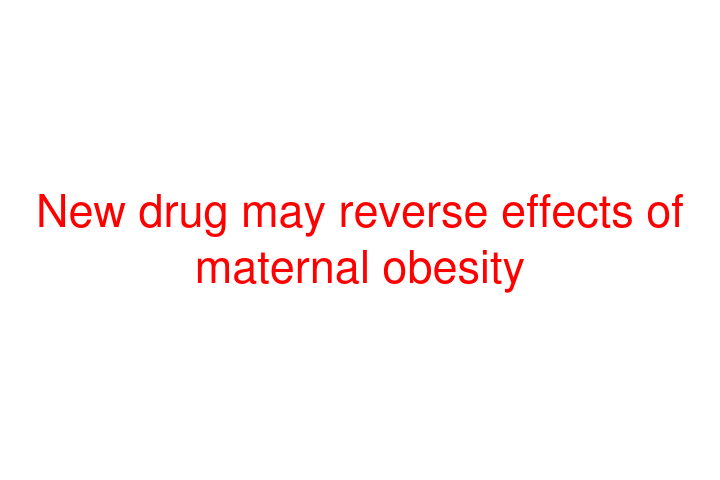 New drug may reverse effects of maternal obesity