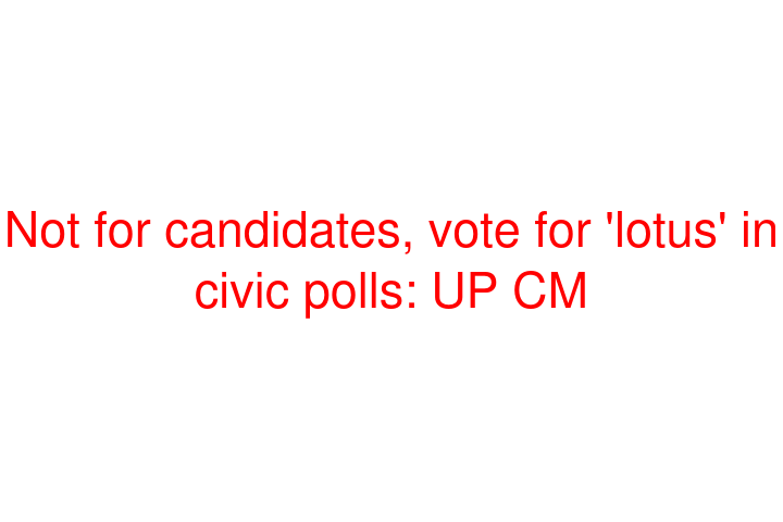 Not for candidates, vote for 'lotus' in civic polls: UP CM