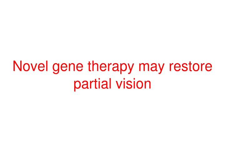 Novel gene therapy may restore partial vision
