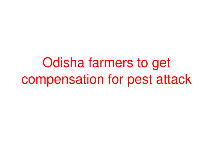 Odisha farmers to get compensation for pest attack