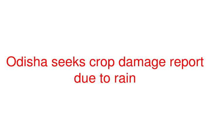 Odisha seeks crop damage report due to rain