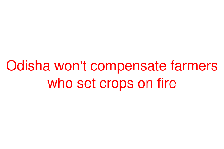 Odisha won't compensate farmers who set crops on fire