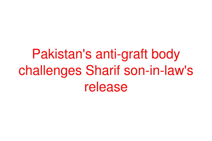 Pakistan's anti-graft body challenges Sharif son-in-law's release