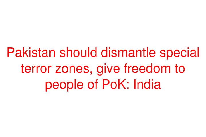 Pakistan should dismantle special terror zones, give freedom to people of PoK: India