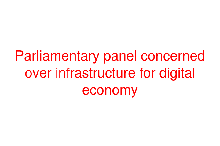 Parliamentary panel concerned over infrastructure for digital economy