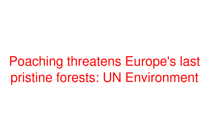 Poaching threatens Europe's last pristine forests: UN Environment