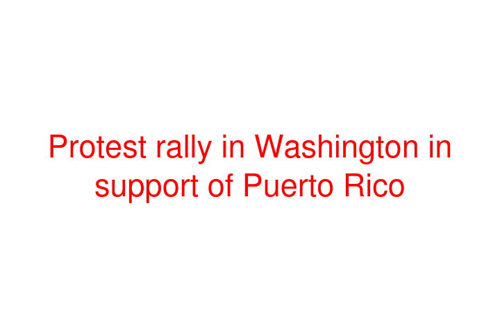 Protest rally in Washington in support of Puerto Rico