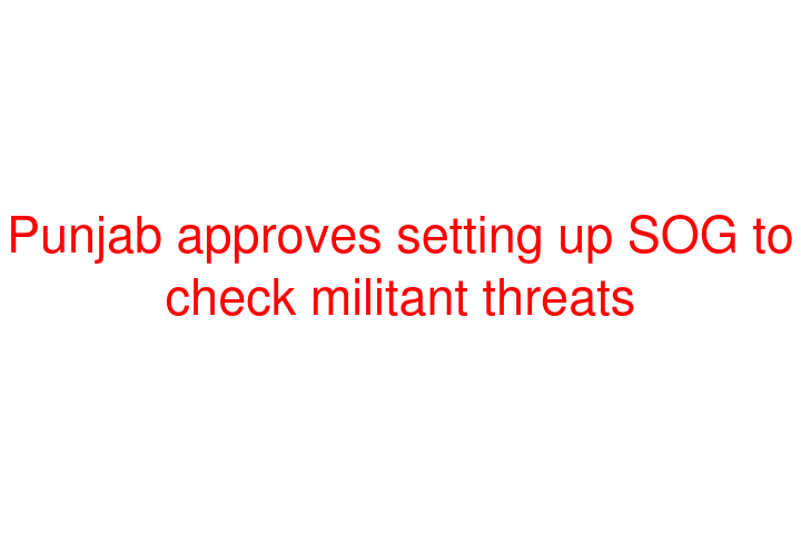 Punjab approves setting up SOG to check militant threats