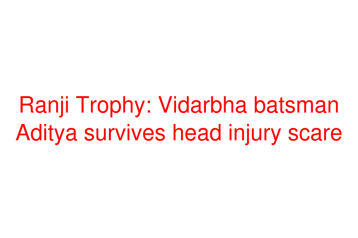 Ranji Trophy: Vidarbha batsman Aditya survives head injury scare