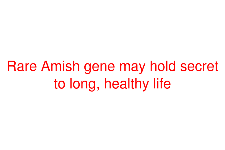 Rare Amish gene may hold secret to long, healthy life