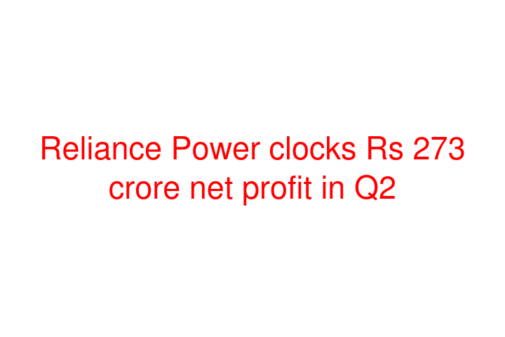 Reliance Power clocks Rs 273 crore net profit in Q2
