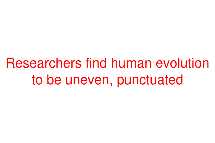 Researchers find human evolution to be uneven, punctuated