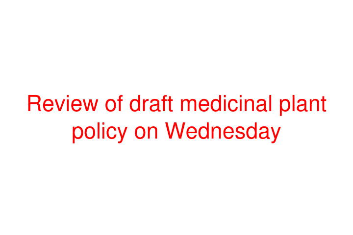 Review of draft medicinal plant policy on Wednesday