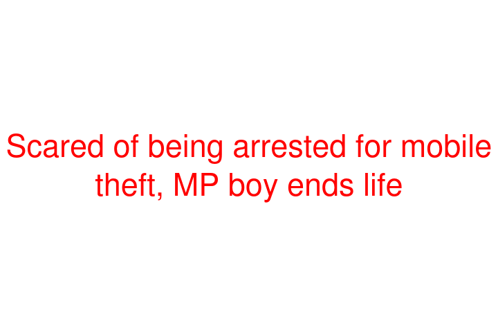 Scared of being arrested for mobile theft, MP boy ends life