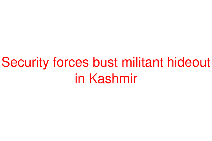 Security forces bust militant hideout in Kashmir