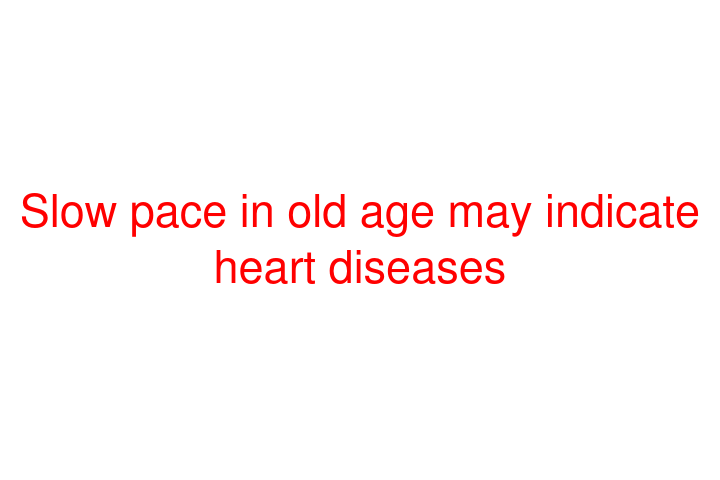 Slow pace in old age may indicate heart diseases