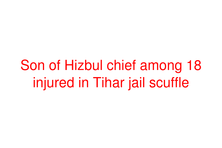 Son of Hizbul chief among 18 injured in Tihar jail scuffle