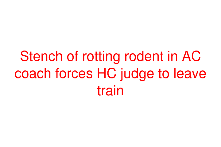 Stench of rotting rodent in AC coach forces HC judge to leave train