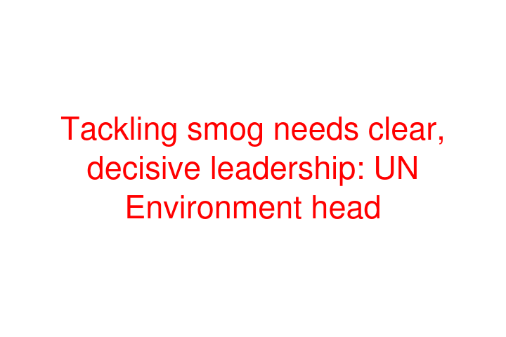 Tackling smog needs clear, decisive leadership: UN Environment head