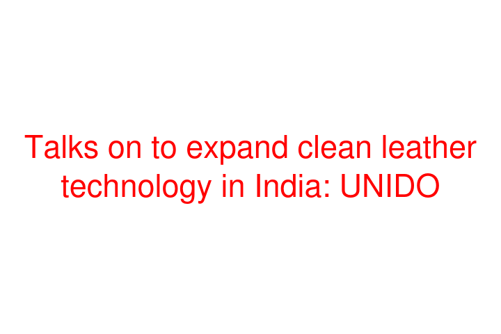 Talks on to expand clean leather technology in India: UNIDO