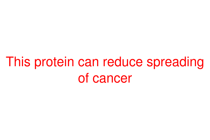This protein can reduce spreading of cancer