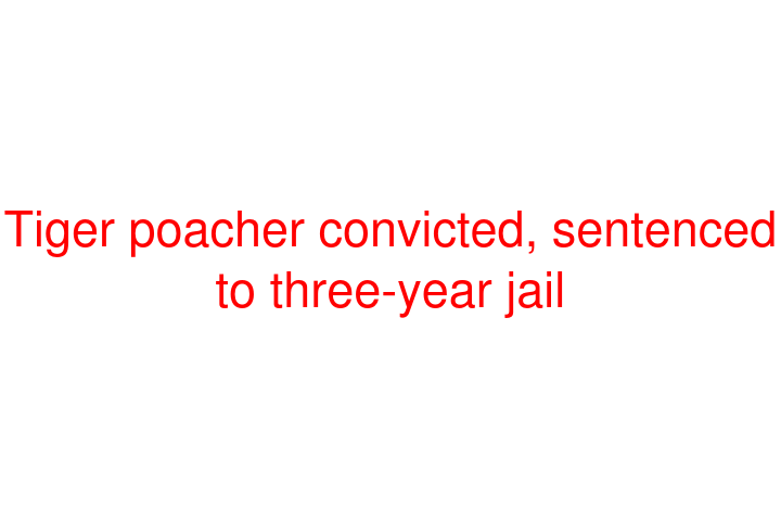 Tiger poacher convicted, sentenced to three-year jail