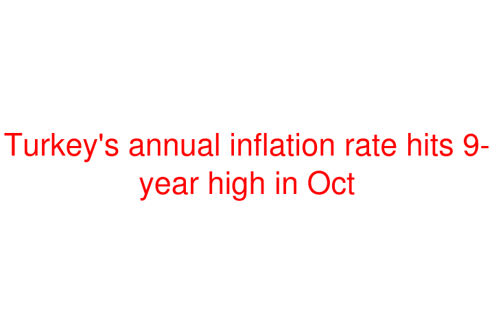 Turkey's annual inflation rate hits 9-year high in Oct