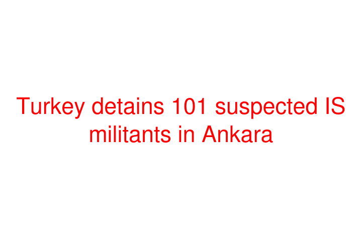 Turkey detains 101 suspected IS militants in Ankara