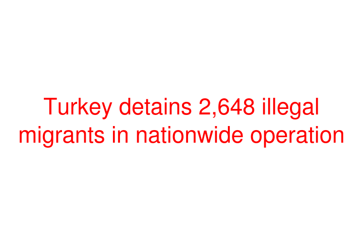 Turkey detains 2,648 illegal migrants in nationwide operation