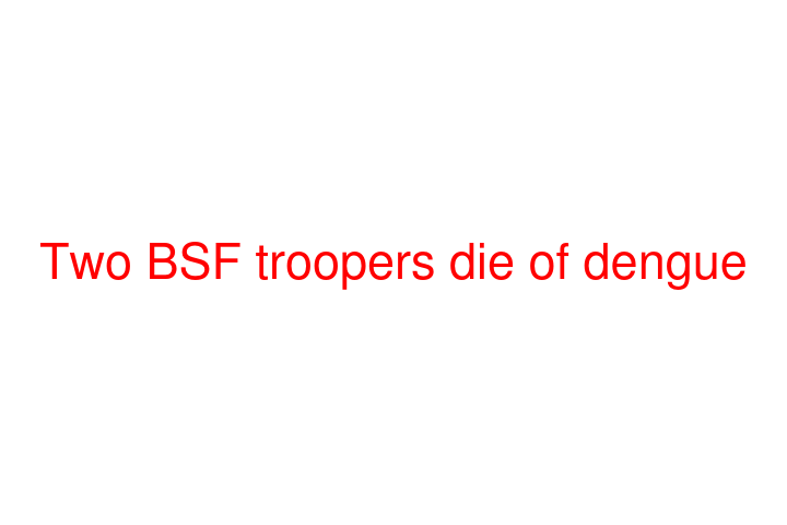 Two BSF troopers die of dengue