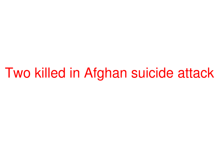 Two killed in Afghan suicide attack