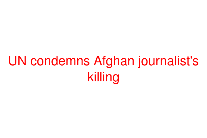 UN condemns Afghan journalist's killing