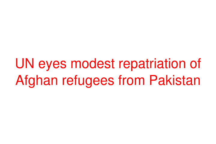 UN eyes modest repatriation of Afghan refugees from Pakistan