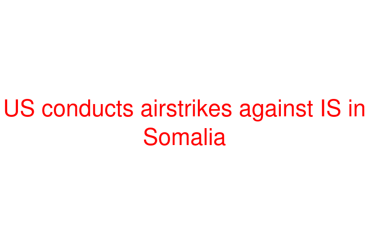 US conducts airstrikes against IS in Somalia