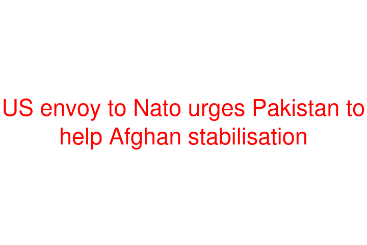 US envoy to Nato urges Pakistan to help Afghan stabilisation