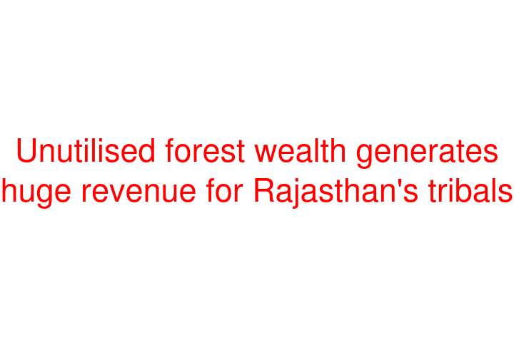Unutilised forest wealth generates huge revenue for Rajasthan's tribals